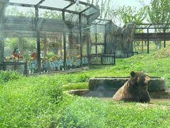 -祥源·阜阳生态乐园