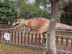 -上海海湾国家森林公园