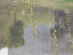-堤角公园