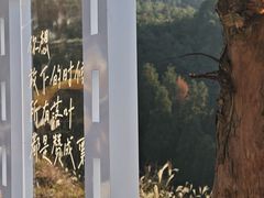 -泽雅景区