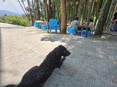 -金水泊山庄·花椒鸡(铁山坪店)