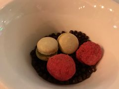 -蝶舍·MAISON PAPILLON