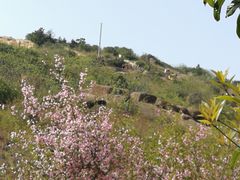 -白马涧龙池景区