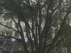 -徐家汇源景区-衡山公园