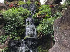 -海口火山口国家地质公园