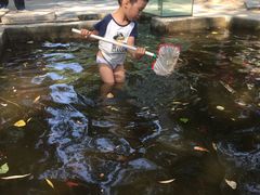 -北戴河集发农业梦想王国