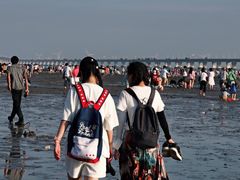 -南汇嘴观海公园