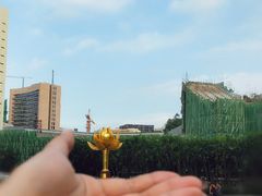 -金莲花广场