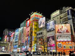 -秋叶原电器街