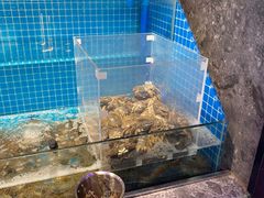 -曼格活海鲜·牛排自助(光明蓝鲸店)