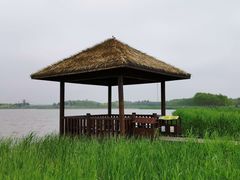 -西青郊野公园