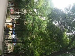 -石燕湖生态旅游景区
