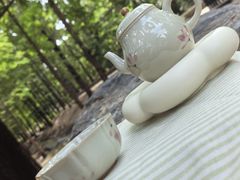 -白水寺森林公园