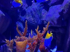 -成都浩海立方海洋公园