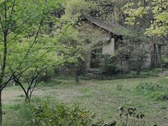-杭州植物园