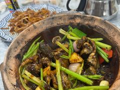 -天宝食坊·啫啫煲大排档(西华路店)