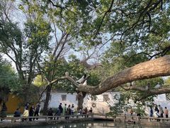 -西园戒幢律寺