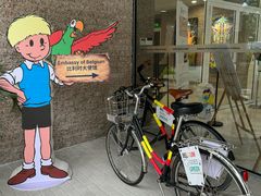 -三里屯东五街银杏大道