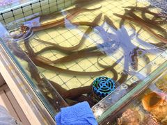 -大锅强·蒸海鲜青岛菜(金沙滩店)