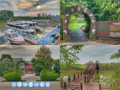 -泗洪洪泽湖湿地景区