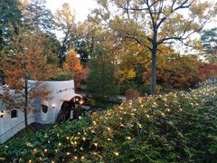 -三鹰之森吉卜力美术馆