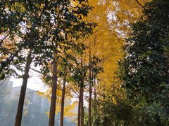 -杭州师范大学(下沙校区)