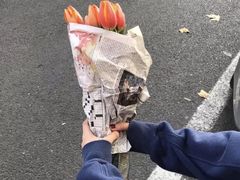 -北京美神宫艺术主题温泉酒店