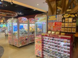 -卡通尼·Safari非洲探索乐园·生日会(金桥国际商业广场店)