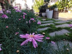 -兰纳泰式spa(古城店)