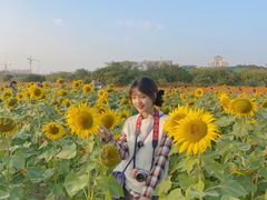 -映月湖中央公园