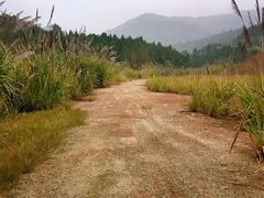 -舒家湾天主教堂