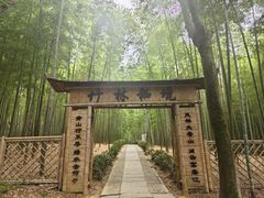 -大奇山国家森林公园