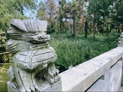 -东平国家森林公园