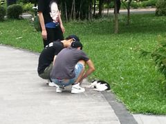 -晓港公园