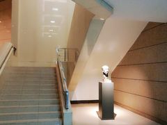 -北京大学百年讲堂