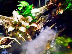 -Together·泰式按摩精油SPA(天山店)