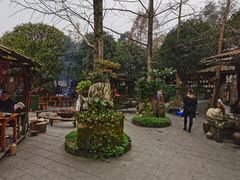 -青城甲(青城山店)