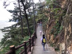 -羚羊峡古栈道森林公园
