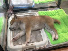 -百盛(莘庄店)
