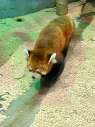 -Zoolung Zoolung动物主题公园(海信广场店)