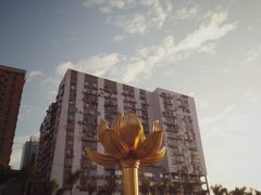 景点-金莲花广场