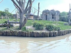 -上海野生动物园