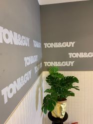 -TONI&GUY