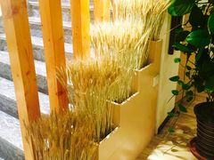 -麦子MaiMassage(打浦桥店)