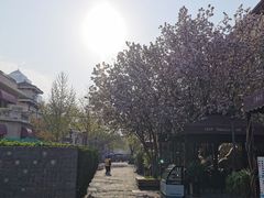 -天津意大利风情旅游区