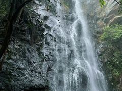 -马峦山郊野公园