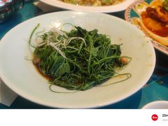 -巴依老爷新疆美食(望京小街店)