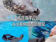 -上海海昌海洋公园