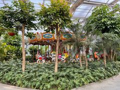 -南宫五洲植物乐园