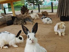 -鄂尔多斯野生动物园